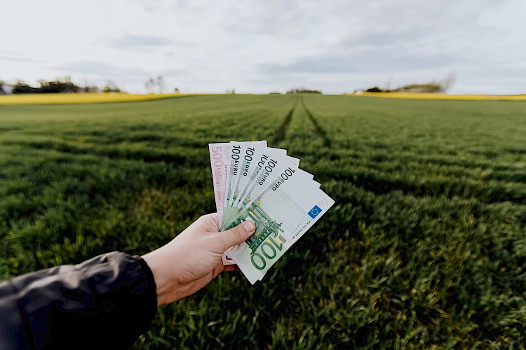 8 stappen naar financiële vrijheid